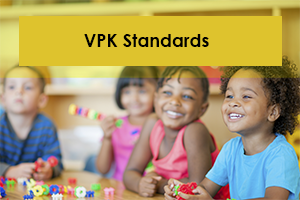 vpk_standards3